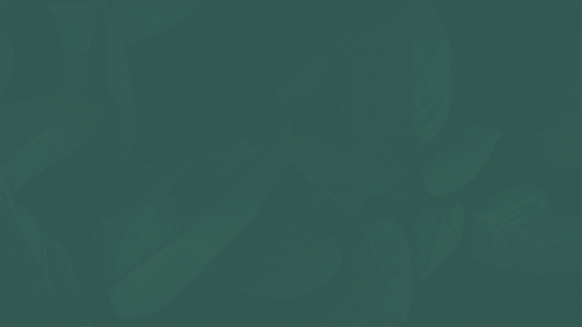 Financial Management Trends for 2025